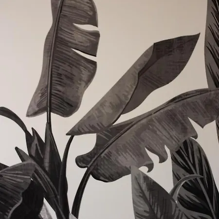 Daire Tropical - Boutique *